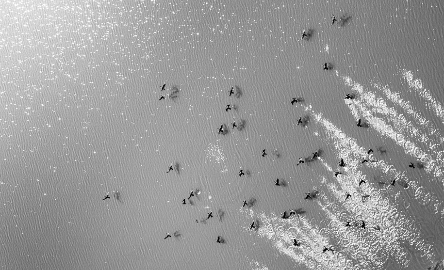 aerial-photos-ai-photography-bangladesh (13)